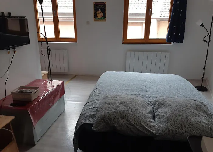 Apartment De Benedicte Mouton Colmar